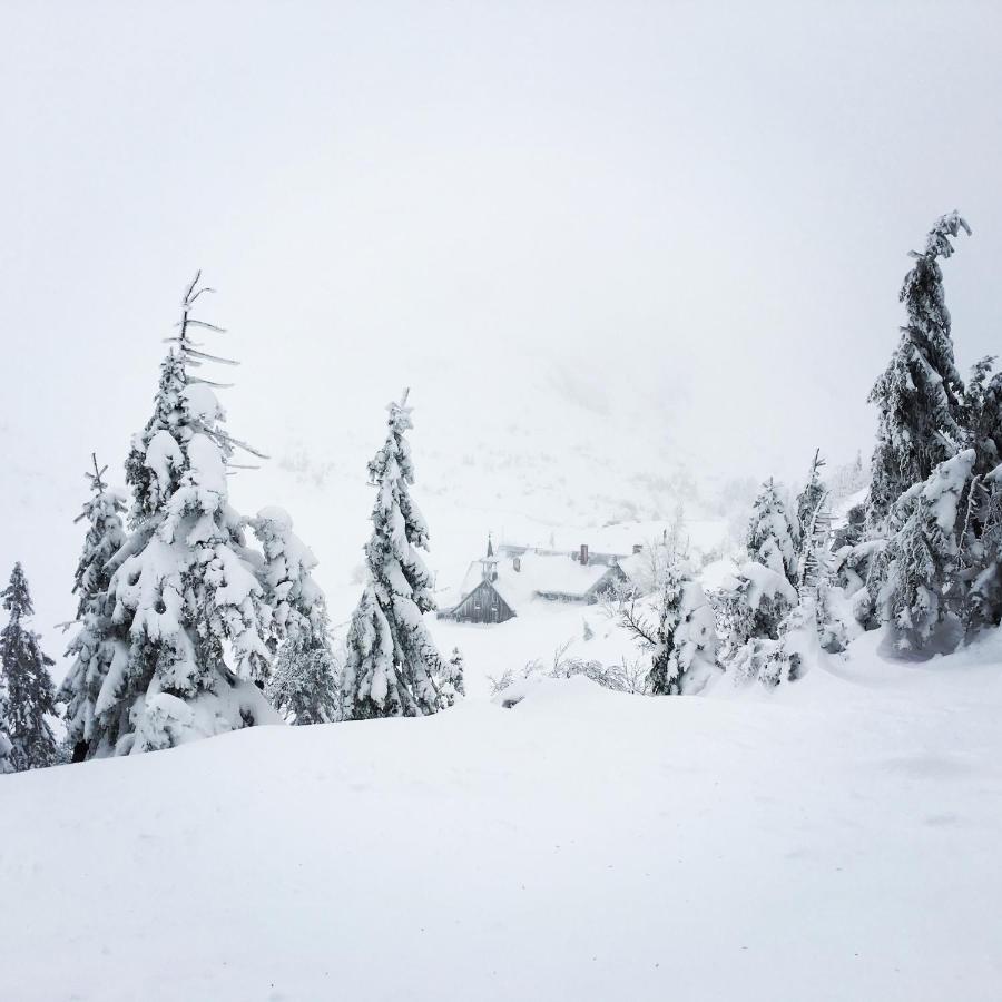 Malinowy Zakatek Triventi Mountain Apartmán